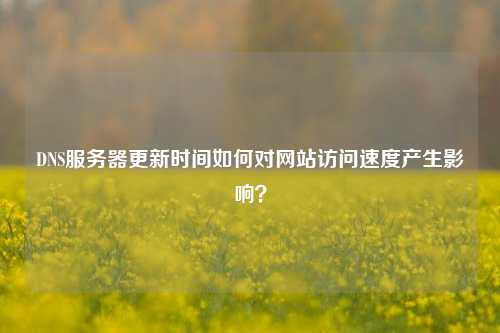 DNS服務(wù)器更新時(shí)間如何對網(wǎng)站訪問速度產(chǎn)生影響？